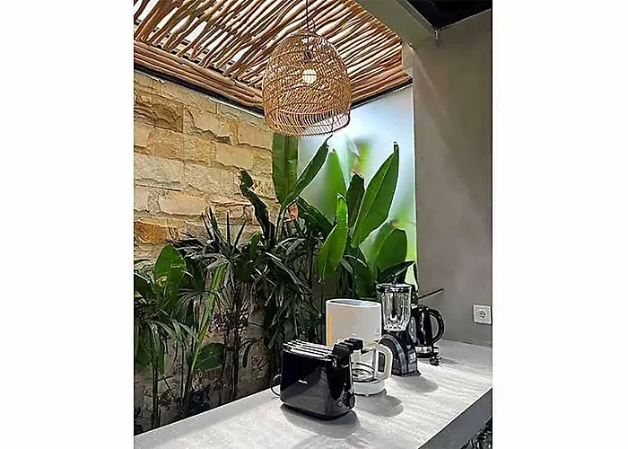 ホテル Palm By Optimum - 10 Min From Seminyak & Canggu